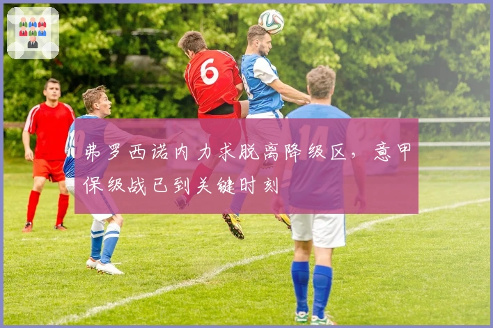 弗罗西诺内力求脱离降级区，意甲保级战已到关键时刻