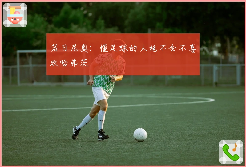 若日尼奥：懂足球的人绝不会不喜欢哈弗茨